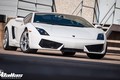 Choáng váng công suất khủng 1100 mã lực của Lamborghini Gallardo