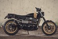 Harley-Davidson Street 750 lên đời scrambler “hàng thửa“