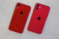 iPhone 11 có đáng mua hơn iPhone XR?