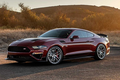 Ford Mustang 2020 siêu mạnh phiên bản tri ân Jack Roush 