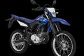 Cào cào Yamaha WR155R giá rẻ mới sắp ra mắt tại Ấn Độ