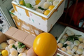 Hết thời hoàng kim, loại quả “sang chảnh” ở Việt Nam rẻ như hàng chợ