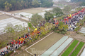 Hàng nghìn người xem nghi lễ rước "vua sống" có một không hai ở Hà Nội