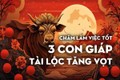 Chăm làm việc tốt, cuối năm 3 con giáp này tài lộc tăng vọt