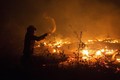 Xúc động cảnh lính cứu hỏa liều mình cứu rừng Amazon
