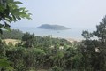 Thăm Vũng Chùa - Đảo Yến ngày đầu năm
