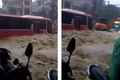 Xe khách chết đứng giữa mưa lũ ở Quảng Ninh