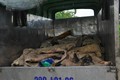 Hơn 1 tấn da trâu, bò hôi thối bị bắt ở Hà Nội