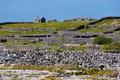 Khám phá những bức tường đá kỳ lạ ở Ireland