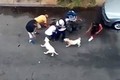 Kinh hoàng thả chó Pit bull cắn đứt tai người trên phố