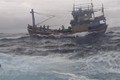 Tàu kiểm ngư cứu hộ kịp thời một tàu cá với 13 ngư dân Bình Định