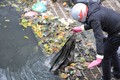 Trời lạnh cóng, công nhân vẫn miệt mài móc rác trên sông Tô Lịch