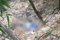 Phát hiện thi thể người đàn ông đang phân huỷ trong rừng
