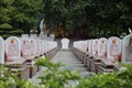 Tháng 7 tri ân, về nơi hàng vạn liệt sĩ an nghỉ ở Quảng Trị