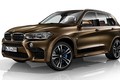 BMW giới thiệu bộ đôi X5 M và X6 M Individual