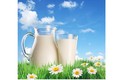 Tại sao sữa tươi tiệt trùng giá “chát” hơn sữa tiệt trùng?