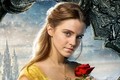 Diễn viên Emma Watson kiếm hơn hơn 400 tỷ khi mới 19 