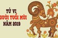 Tử vi tuổi Mùi năm 2019: Tiền tài thăng hoa do có quý nhân phù trợ