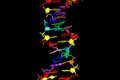 Truy tìm sự sống ngoài hành tinh từ DNA "8 chữ cái"