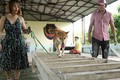 Phim “Cậu Vàng”: Chó thuần Việt sẽ đóng thế chó Nhật cảnh bị ngược đãi?