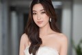 Soi đường tình của Hoa hậu Đỗ Mỹ Linh từ khi bước vào showbiz