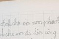Văn tả anh trai thật như đếm của nhóc lớp 2 khiến dân mạng bật cười
