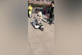Video: Chú chó thông minh trổ tài lái xe chở cậu bé gây sốt