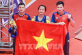Thành tích của đoàn thể thao Việt Nam qua các kỳ SEA Games