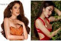 Miss Universe Vietnam 2023: Nhan sắc chị gái Nam Em