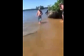 Video: Người đàn ông bắt rắn bằng tay không, ném trúng phao có người