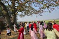 Nhiều người háo hức check-in cây gạo bên bờ sông Thương