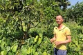 Trồng rau đặc sản trong vườn cà phê, anh nông dân Lâm Đồng "hốt bạc"