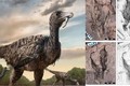 Kinh dị quái điểu lai khủng long cao 5 m ở Trung Quốc