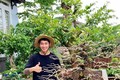Khởi nghiệp từ cây bonsai cổ thụ, 9x Đắk Lắk doanh thu hàng tỷ/năm
