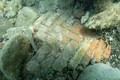 Cột đá cẩm thạch hiện ra giữa biển, lộ phế tích 2.000 năm tuổi 