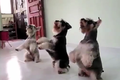 Đàn chó nhảy Gangnam Style cực chất