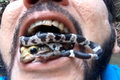 “Dị nhân” ngậm cả rắn và ếch độc trong miệng