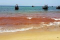 Xuất hiện vệt nước màu đỏ 1,5km dọc bờ biển Quảng Bình