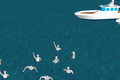 Clip 3D mô phỏng vụ chìm tàu du lịch trên sông Hàn