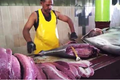 Nể phục trước những cách lọc thịt cá của người bán
