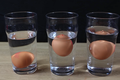 Điều gì xảy ra khi thả trứng vào nước muối?