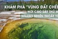 “Vùng đất chết”, nơi các sát thủ Mỹ ngang nhiên thoát tội