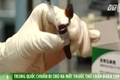Hot: Trung Quốc sắp ra mắt thuốc thử chẩn đoán Ebola