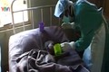Sắp có vắc xin phòng chống dịch bệnh Ebola?