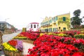Chiêm ngưỡng đường hoa xuân đa sắc phía Tây thủ đô Hà Nội 