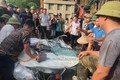 Vụ tai nạn 3 người chết ở Hòa Bình: Tài xế xe tải khai gì?