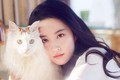 Ở tuổi 35, Lưu Diệc Phi sống độc thân cùng 16 con mèo