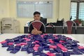 Sơn La: Bắt đối tượng vận chuyển 27.000 viên ma túy tổng hợp