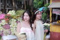 Trào lưu chụp ảnh bên xe hoa mùa thu Hà Nội phiên bản xứ Thanh