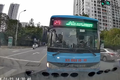 Hà Nội: Xử phạt tài xế xe buýt lấn làn vượt ẩu, chặn đường ô tô